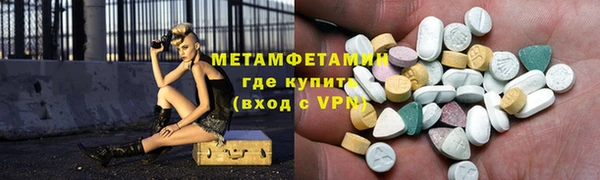 мдпв Гусев