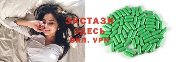 индика Гусиноозёрск