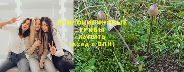 гашиш Гусь-Хрустальный