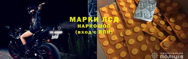 мдпв Гусев