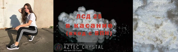 индика Гусиноозёрск