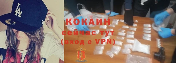 индика Гусиноозёрск
