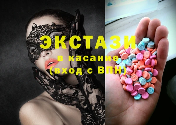 индика Гусиноозёрск