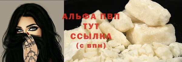 индика Гусиноозёрск