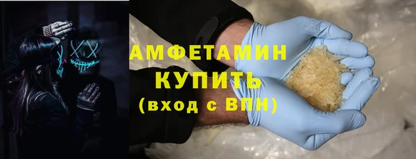 мдпв Гусев