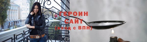 мдпв Гусев