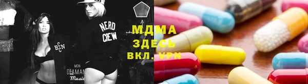 мдпв Гусев