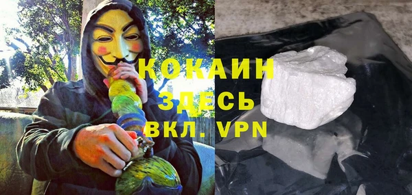 индика Гусиноозёрск
