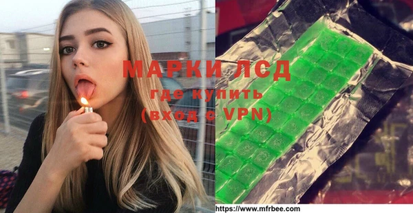 индика Гусиноозёрск
