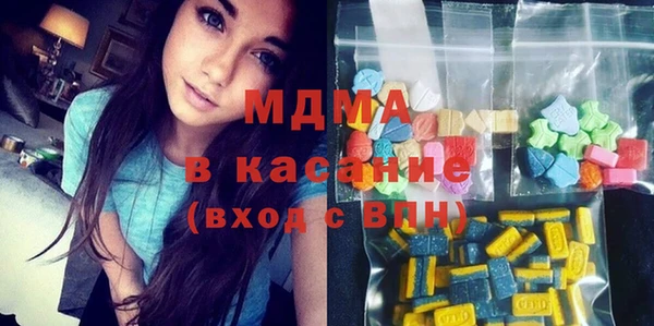мдпв Гусев