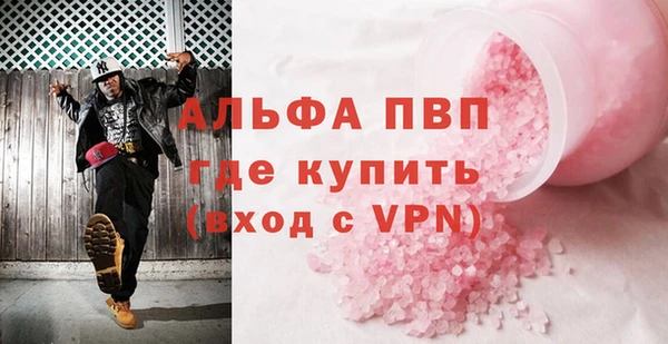 индика Гусиноозёрск