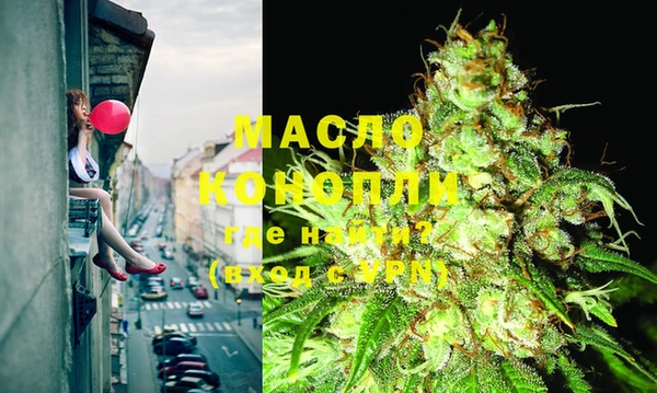 индика Гусиноозёрск