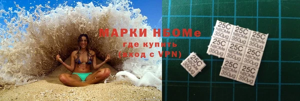 мдпв Гусев