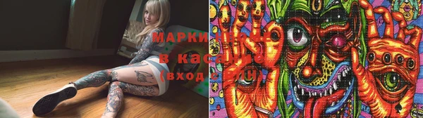 мдпв Гусев