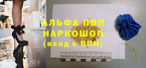 индика Гусиноозёрск