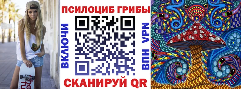 Псилоцибиновые грибы MAGIC MUSHROOMS  Купить закладки  Суоярви 
